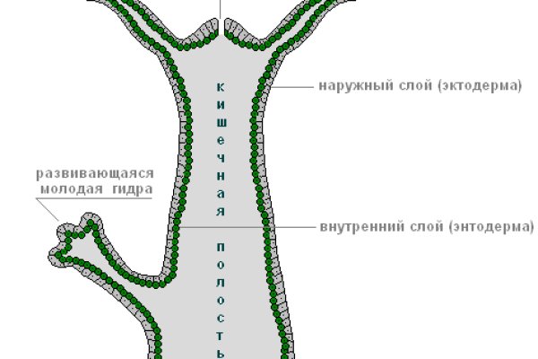 Адрес сайта кракен