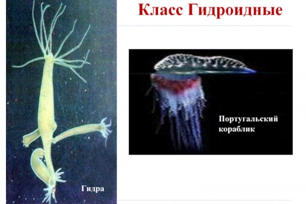 Что с кракеном сайт