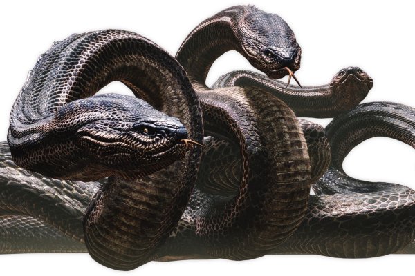 Актуальная ссылка на кракен kraken