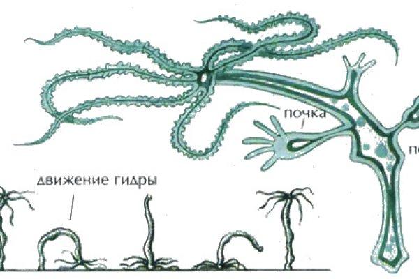 Как вернуть аккаунт на кракене