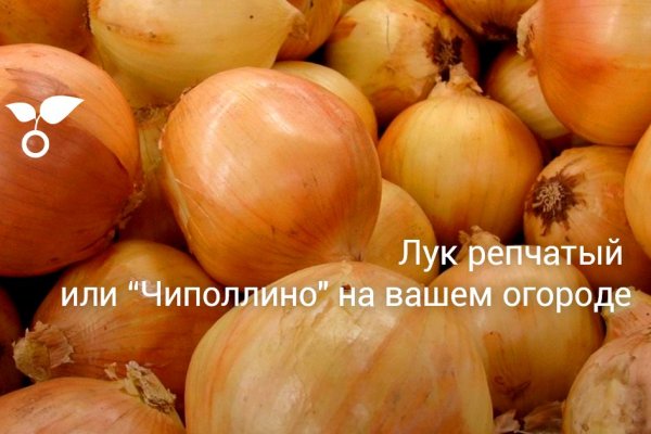 Кракен 12 сайт