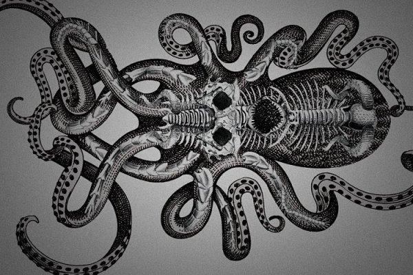 Kraken tor зеркало