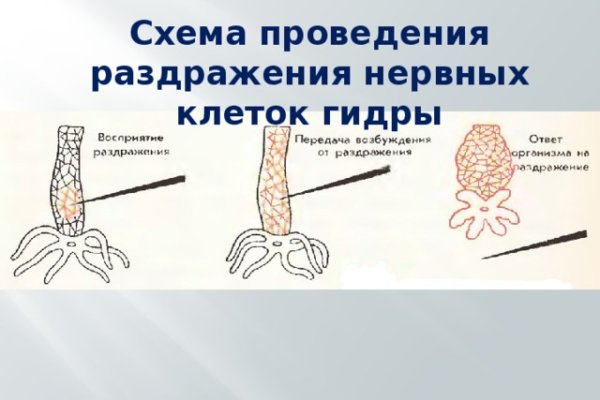 Кракен шоп зеркало
